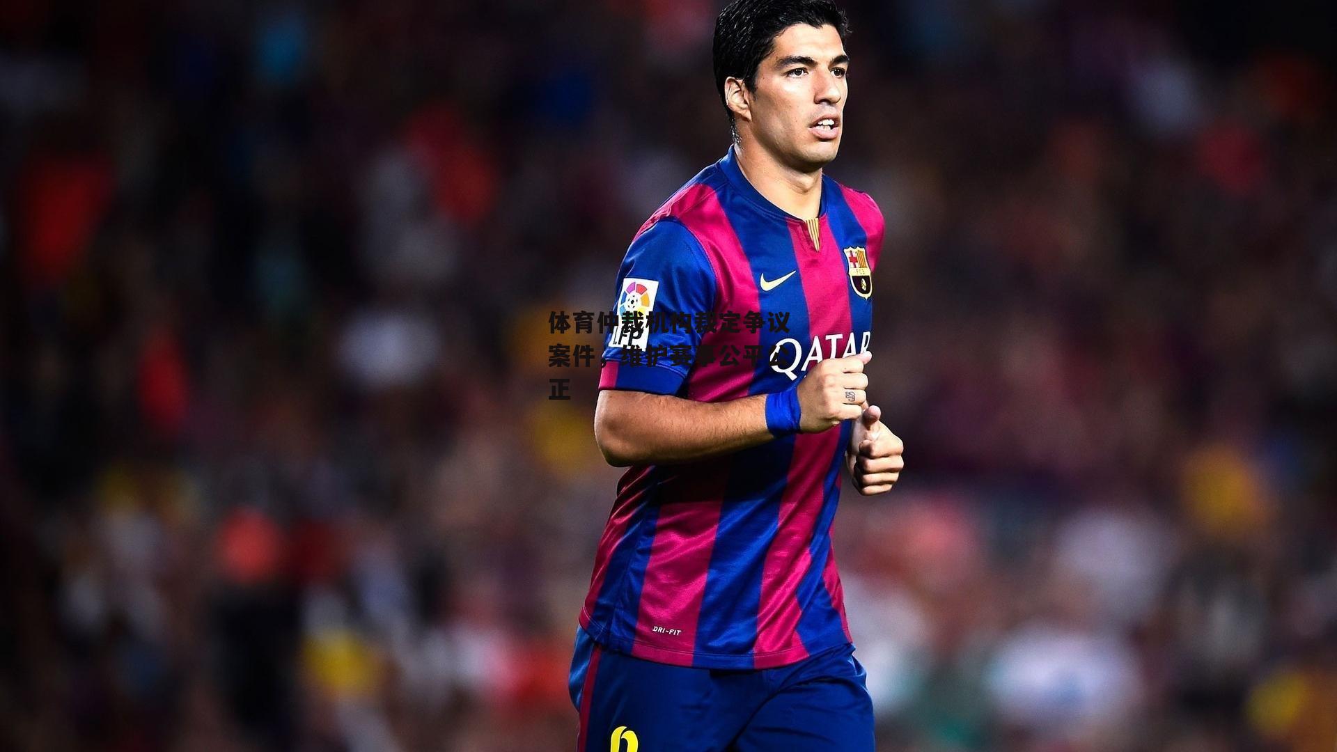 体育仲裁机构裁定争议案件,维护赛事公平公正