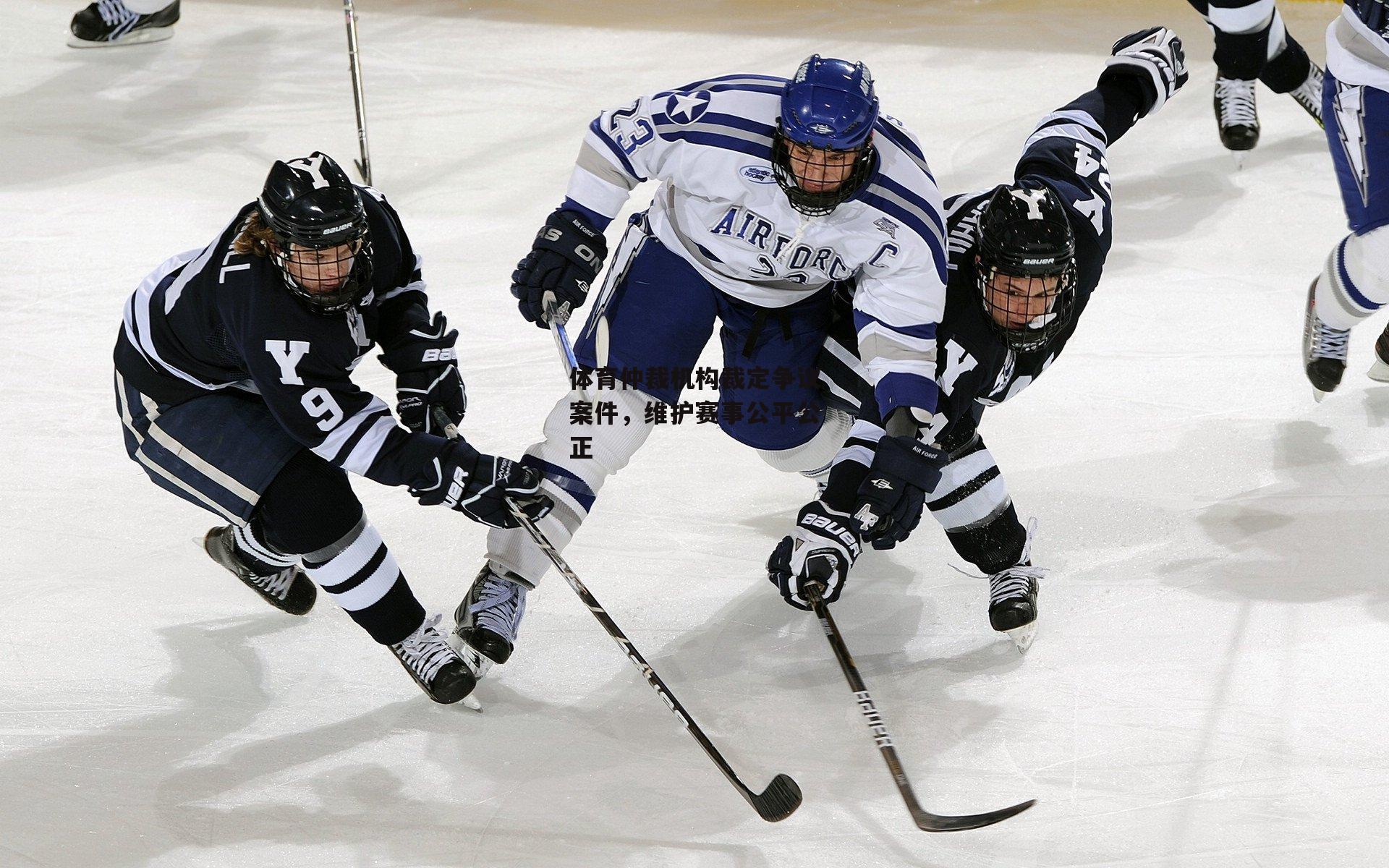 体育仲裁机构裁定争议案件,维护赛事公平公正