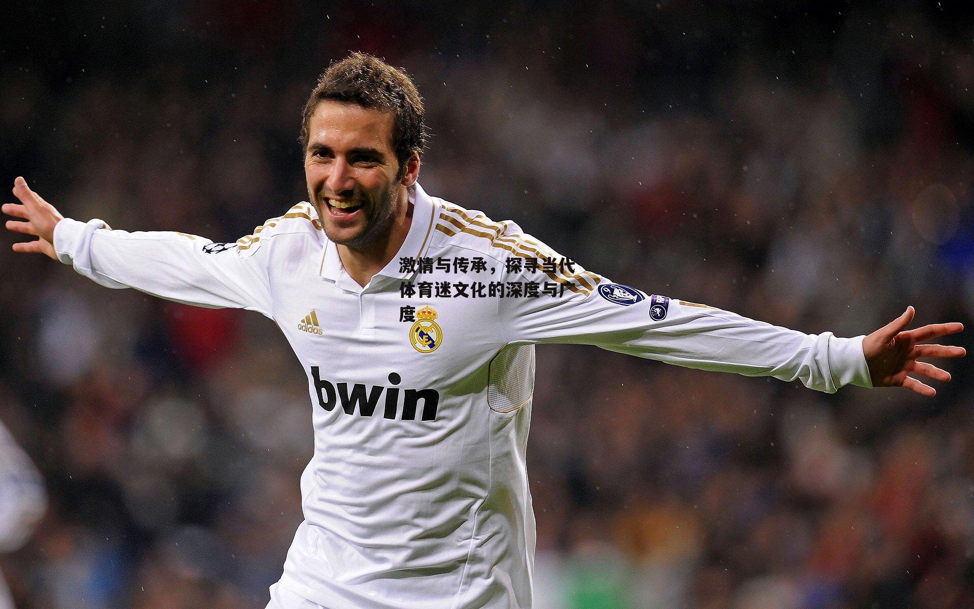 激情与传承，探寻当代体育迷文化的深度与广度